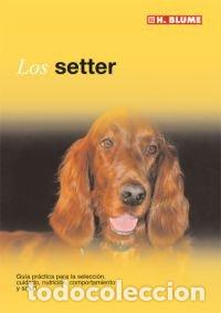 B&uuml;cher: SETTER, EL - GEORGE, DAVID