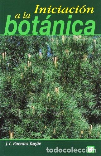 Libri: INICIACION A LA BOTANICA - FUENTES YAGUE, J.L.