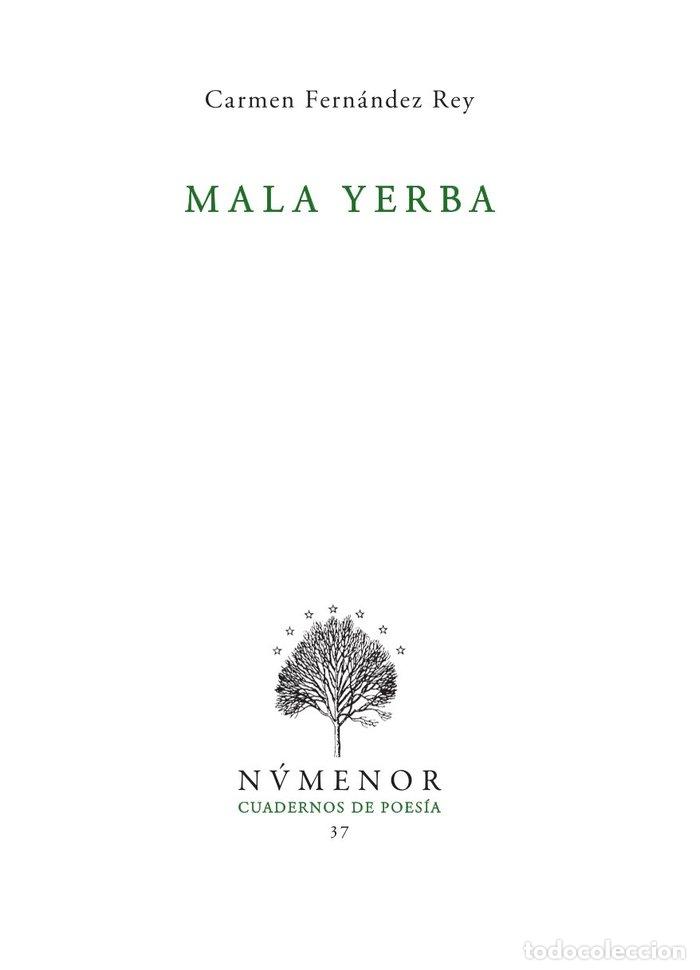 Libros: MALA YERBA - FERNANDEZ REY, CARMEN