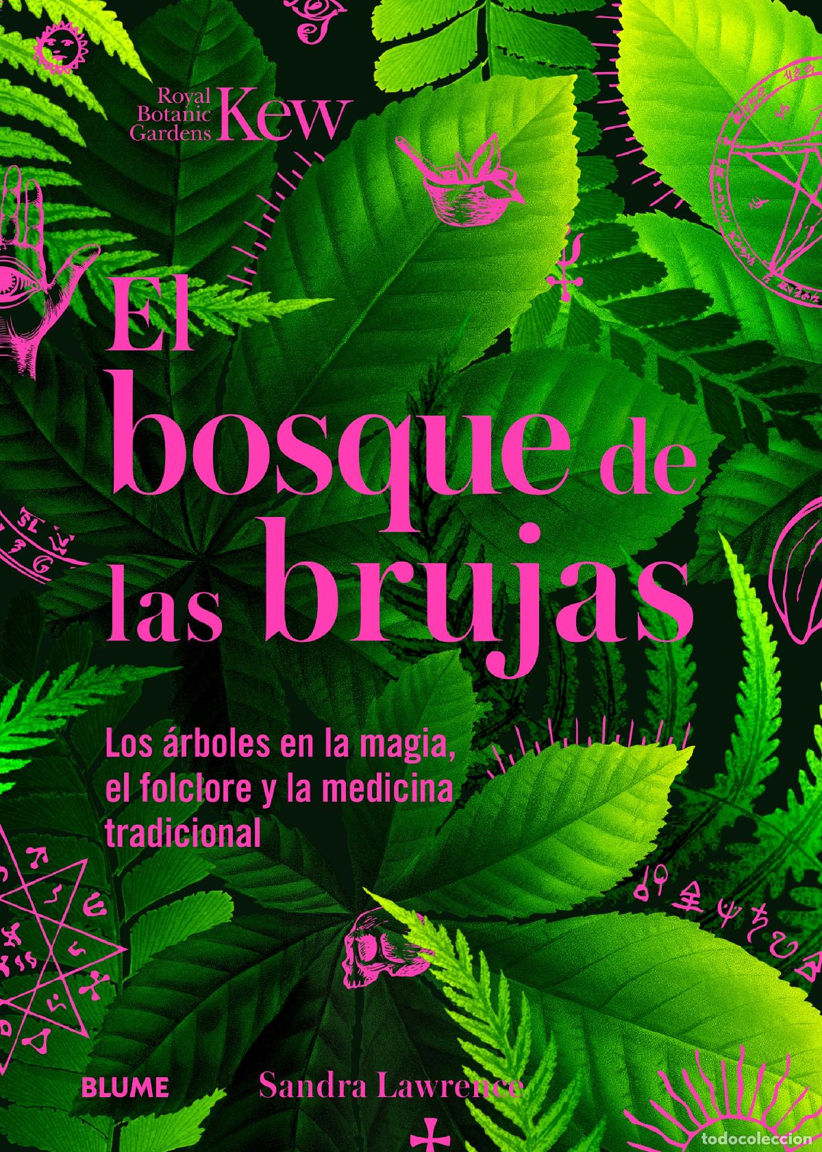 B&uuml;cher: BOSQUE DE LAS BRUJAS - Lawrence, Sandra