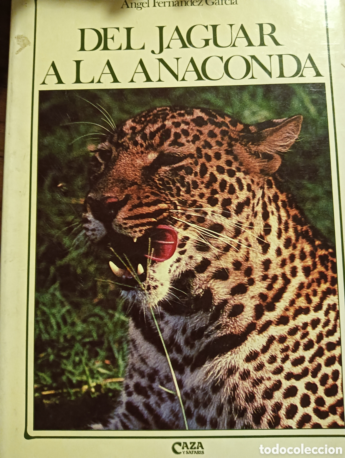 Libros: Del jaguar a la anaconda por &Aacute;ngel Fern&aacute;ndez gareta
