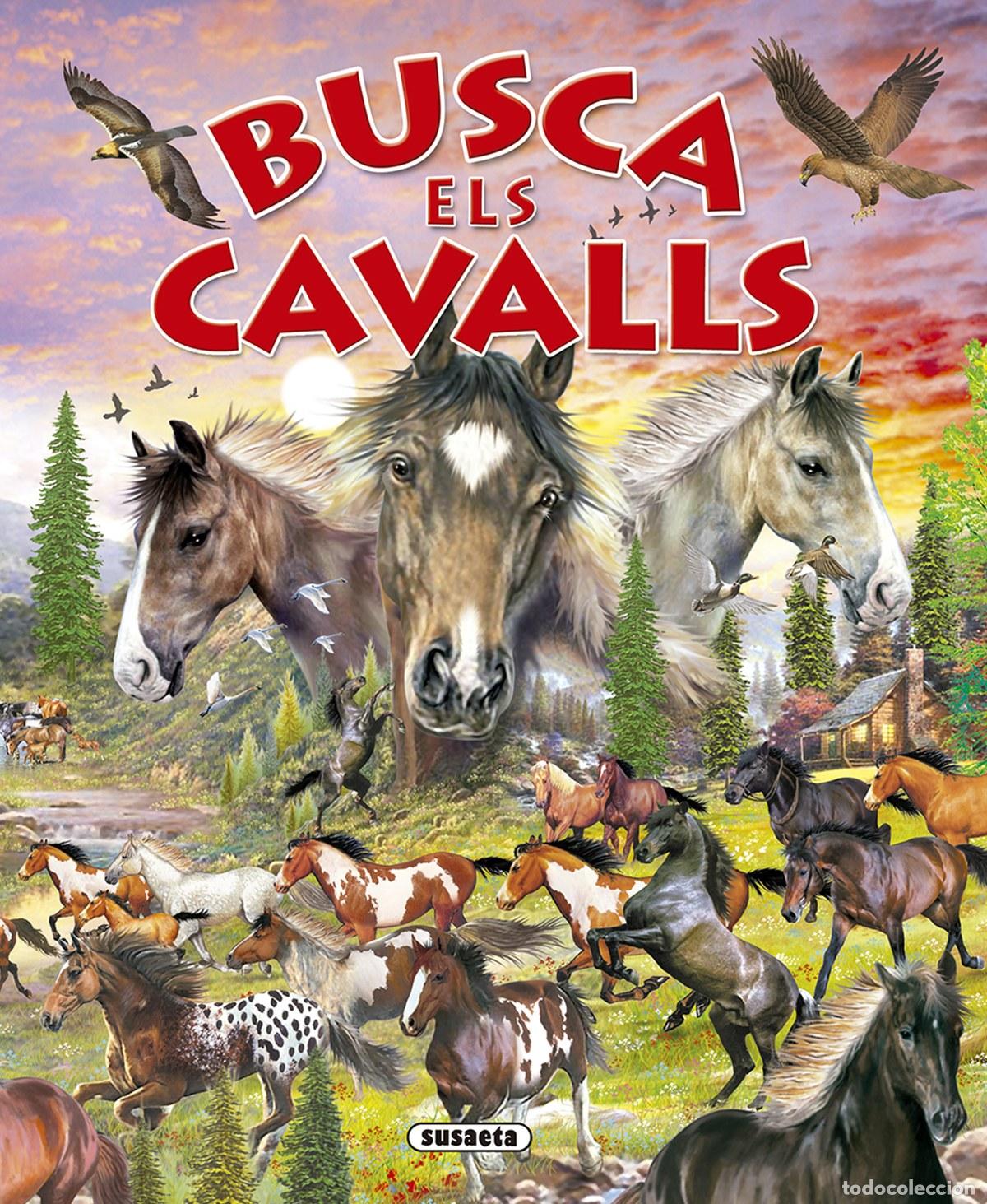 B&uuml;cher: BUSCA ELS CAVALLS I PONIS (BUSCA...) - Susaeta, Equipo