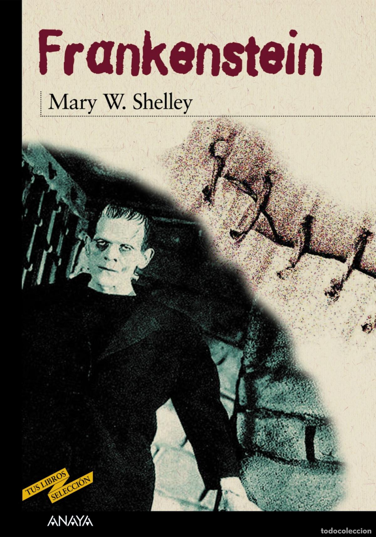 Libros: FRANKENSTEIN - Shelley, Mary W