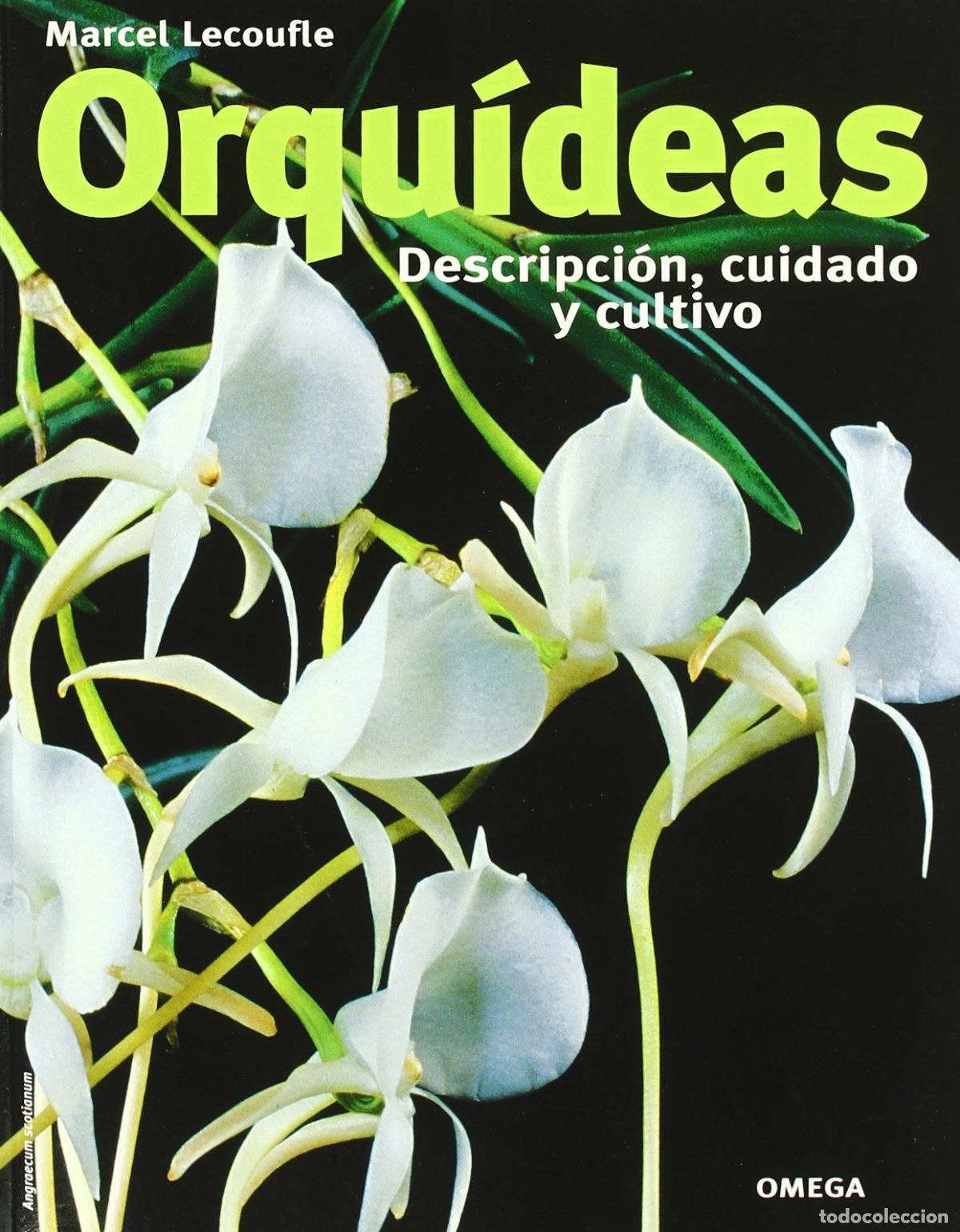 Libri: ORQUIDEAS.DESCRIPCION,CUIDADO Y CULTIVO - LECOUFLE, M