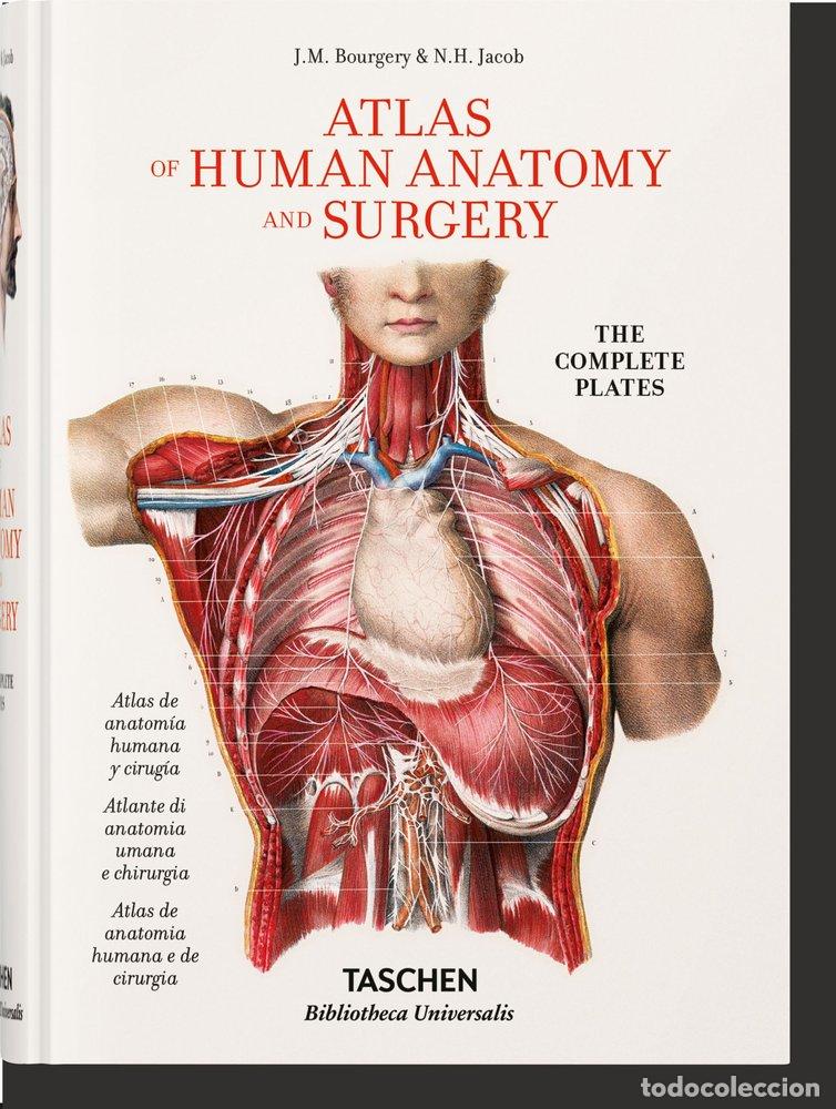 Livros: BOURGERY ATLAS OF ANATOMY (ES/IT/PO) - AA.VV