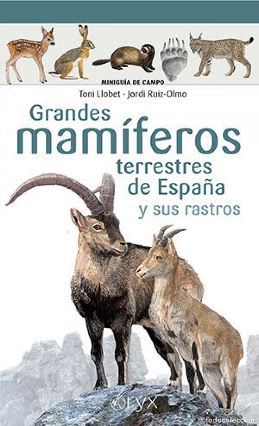 Libros: GRANDES MAM&Iacute;FEROS TERRESTRES DE ESPA&Ntilde;A Y SUS RASTROS - Llobet Fran&ccedil;ois, Toni