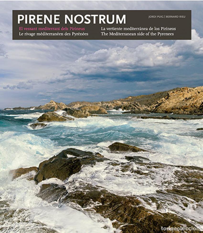 Libros: PIRENE NOSTRUM - Puig Castellano, Jordi