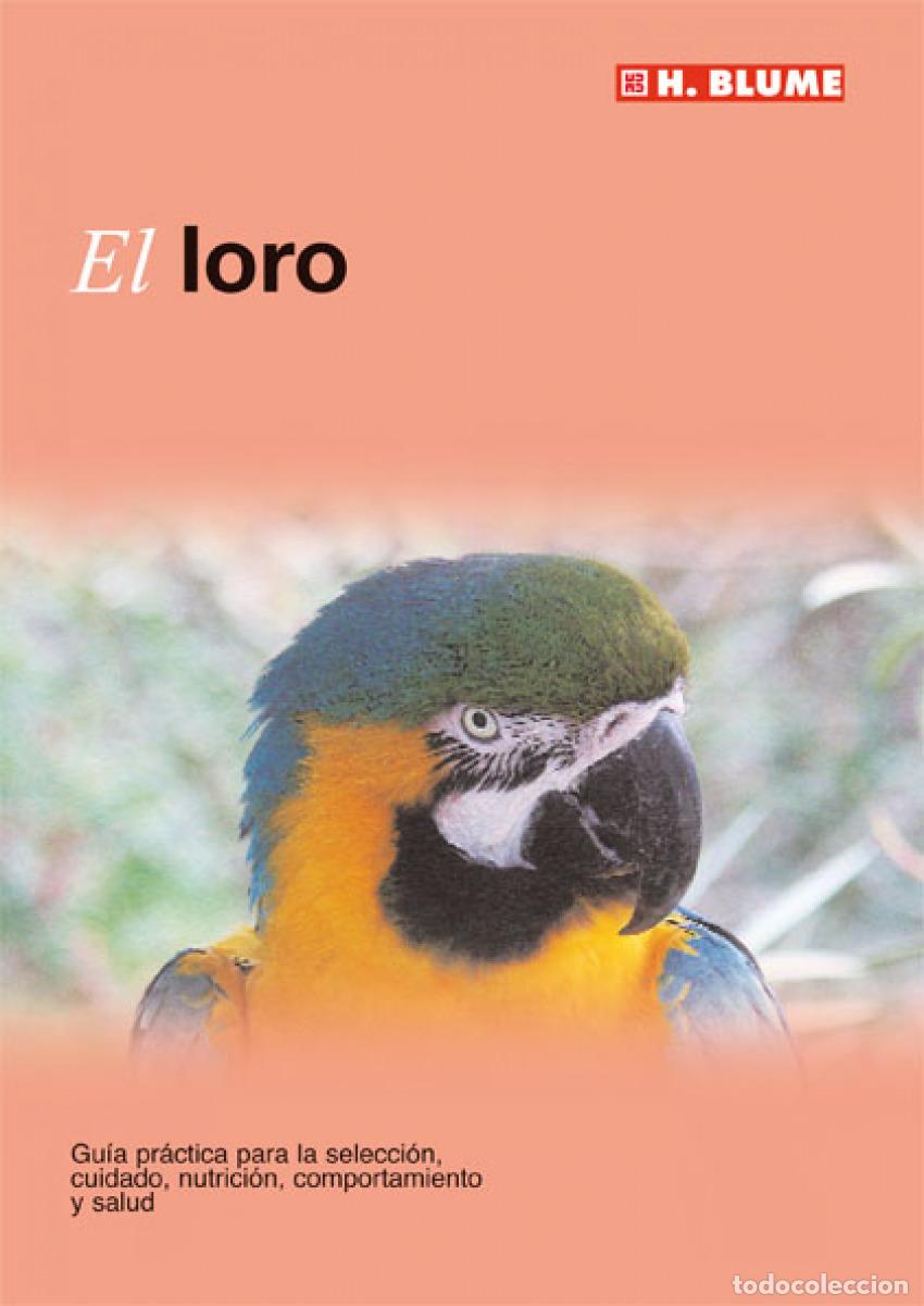 Livros: LORO - George, David