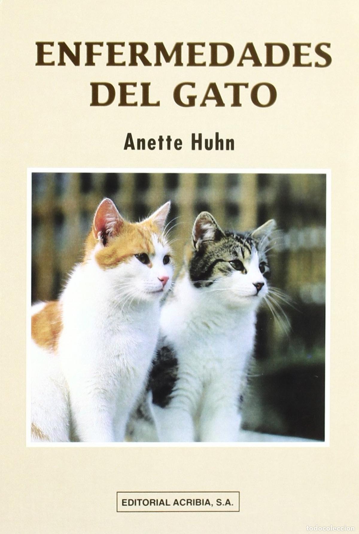 Livros: ENFERMEDADES DEL GATO - Huhn, A