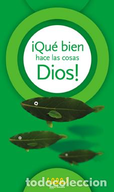 Livros: QUE BIEN HACE LAS COSAS DIOS 5 RELIGION - PRIMARIA - AYALA GUIJARRO, ANGEL