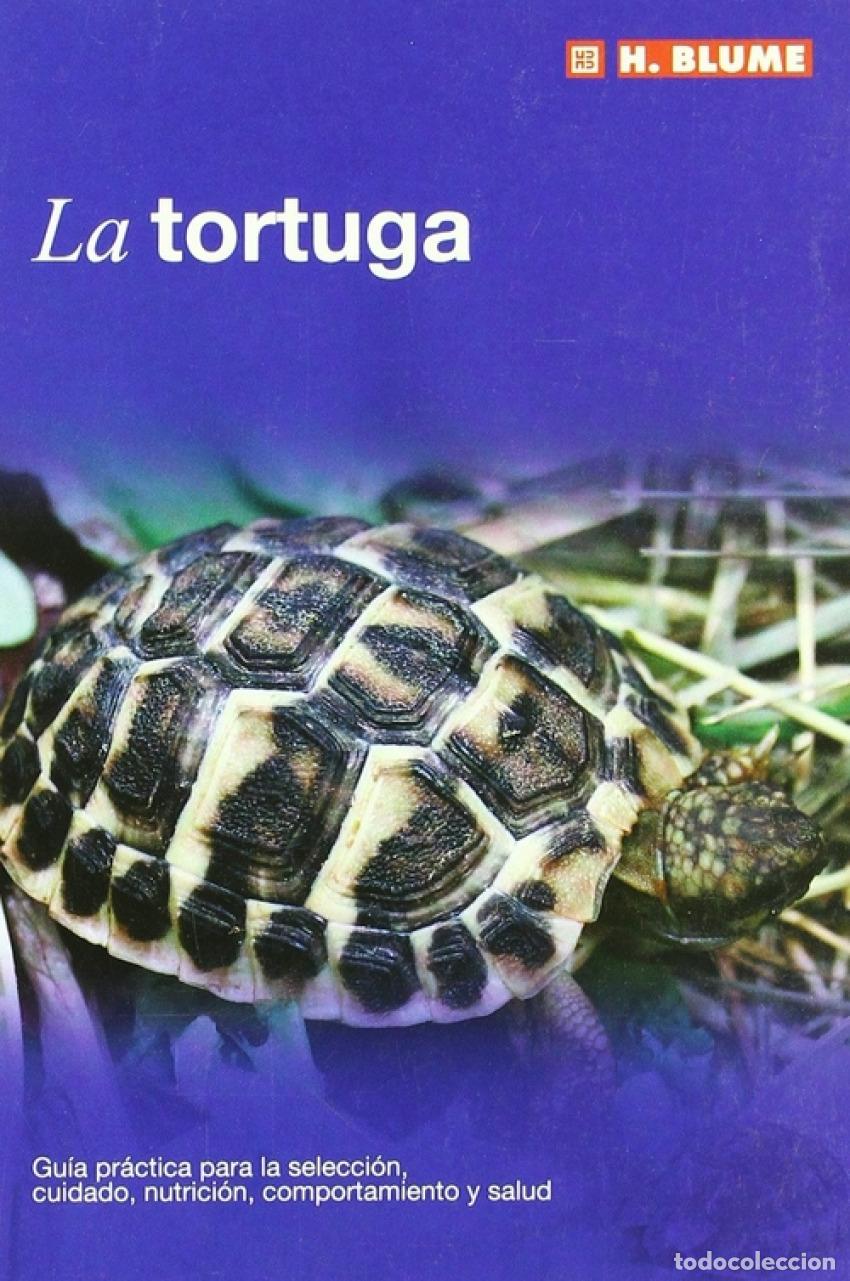 Libros: TORTUGA - VV.AA.....