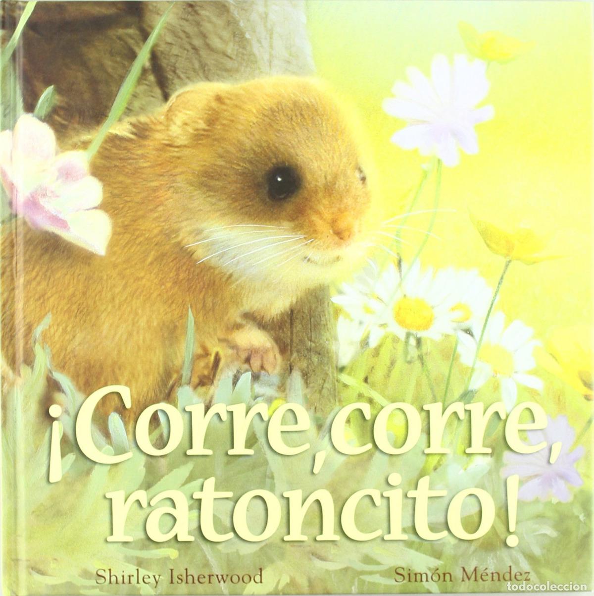 Libros: &iexcl;CORRE CORRE RATONCITO! - Isherwood, Shirley