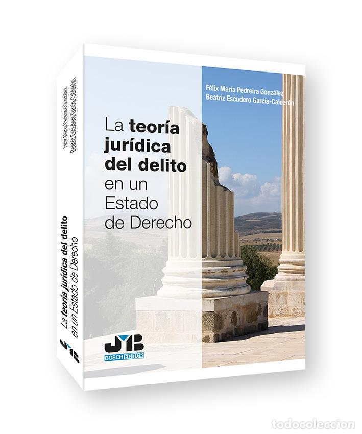 B&uuml;cher: LA TEOR&Iacute;A JUR&Iacute;DICA DEL DELITO EN UN ESTADO DE DERECHO - Pedreira Gonz&aacute;lez, F&eacute;lix Mar&iacute;a