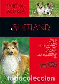 books: EL SHETLAND - Dupuis, Claire