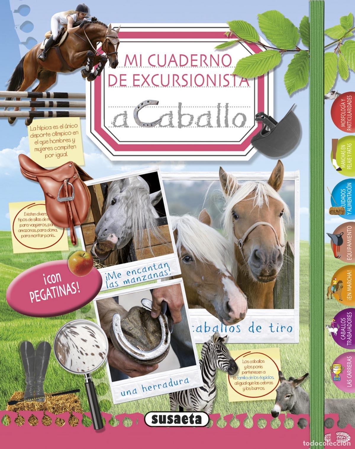 Livres: MI CUADERNO DE EXCURSIONISTA A CABALLO - VV.AA.