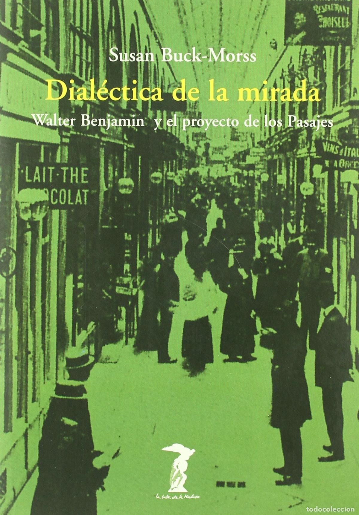 Libros: DIAL&Eacute;CTICA DE LA MIRADA - Buck Morss, Susan