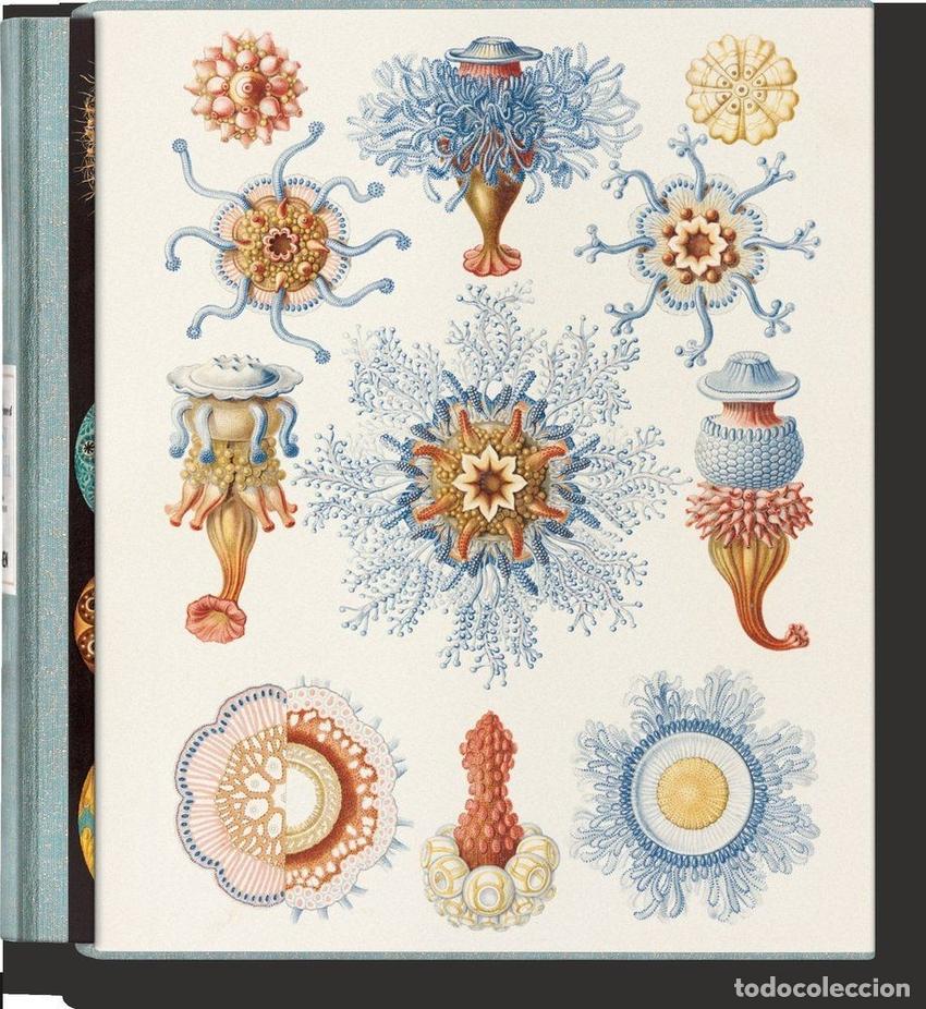 Livros: THE ART AND SCIENCE OF ERNST HAECKEL - AA.VV.