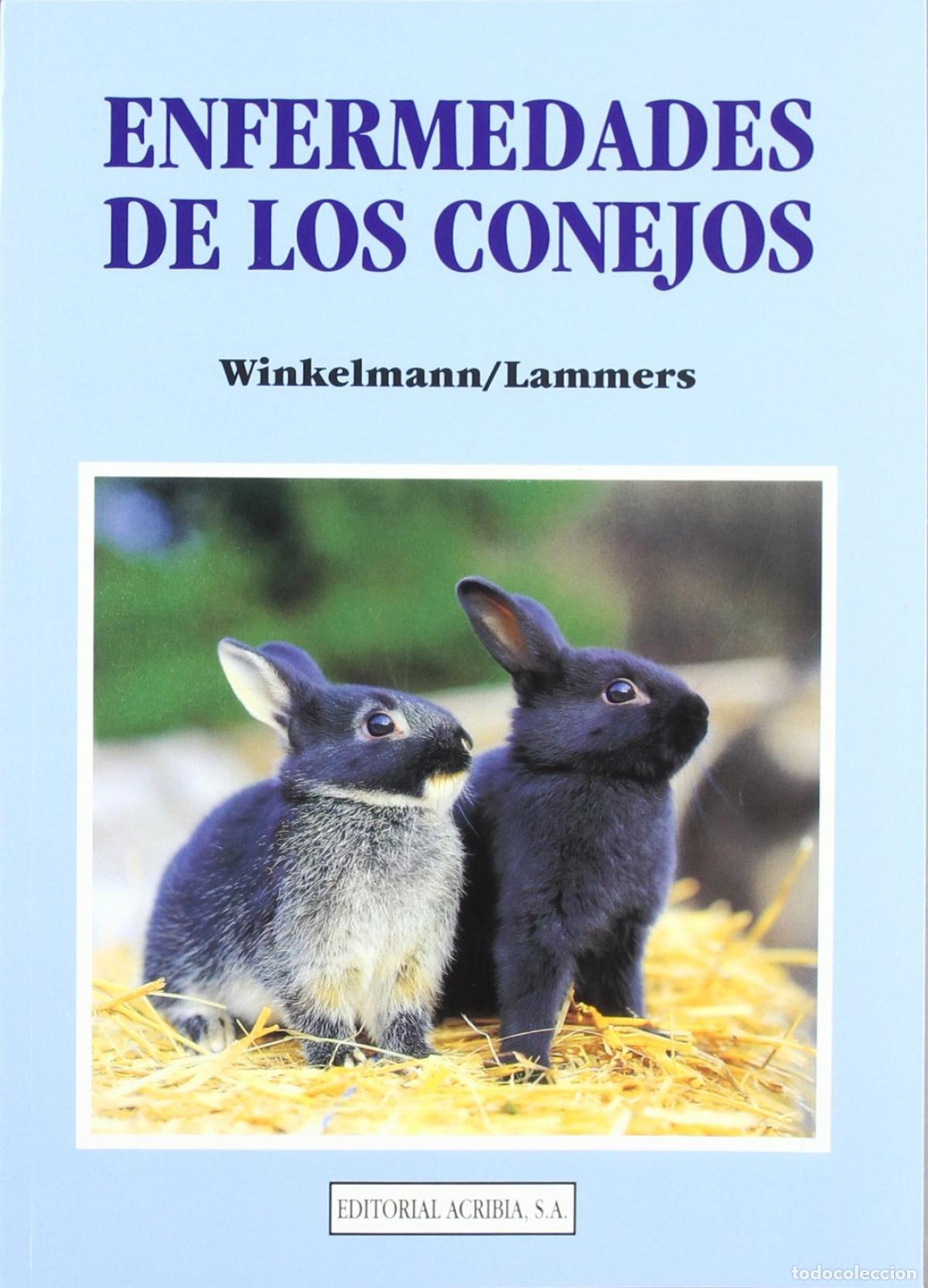 B&uuml;cher: ENFERMEDADES DE LOS CONEJOS - Winkelmann, J
