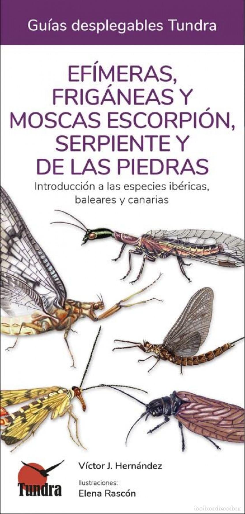 Libros: EF&Iacute;MERAS, FRIG&Aacute;NEAS Y MOSCAS TUNDRA - AA.VV