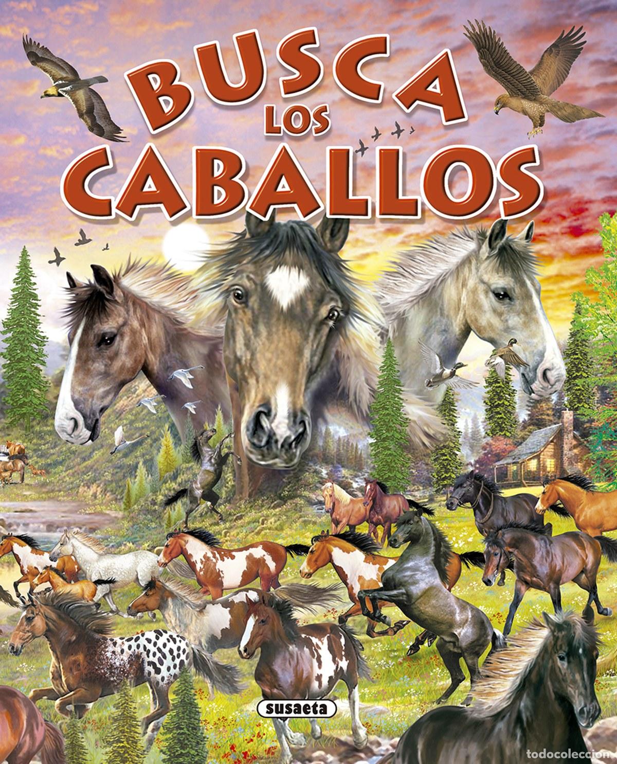 Livros: BUSCA LOS CABALLOS Y PONIS - Susaeta, Equipo