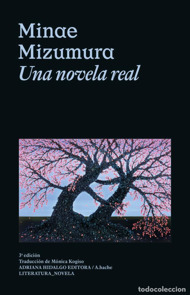 Livros: UNA NOVELA REAL - Mizumura, Minae