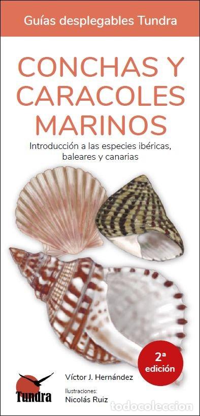 Libros: CONCHAS Y CARACOLES MARINOS INTRODUCCION ESPECIES IBERICAS - HERNANDEZ, VICTOR J.