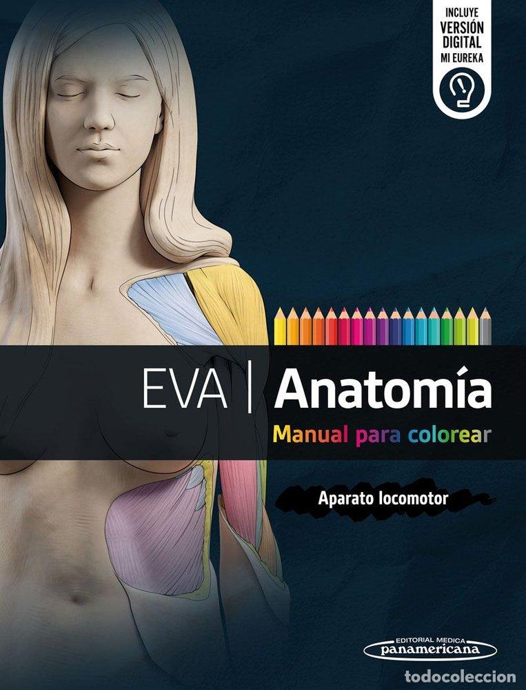 Livros: EVA ANATOMIA MANUAL PARA COLOREAR - EVA