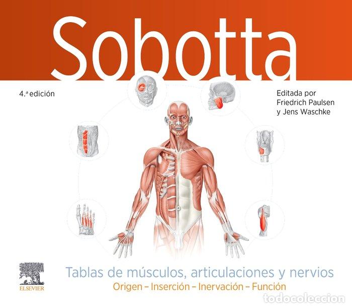Libros: SOBOTTA TABLAS DE MUSCULOS ARTICULACIONES Y NERVIOS 4&ordf; ED - PAULSEN