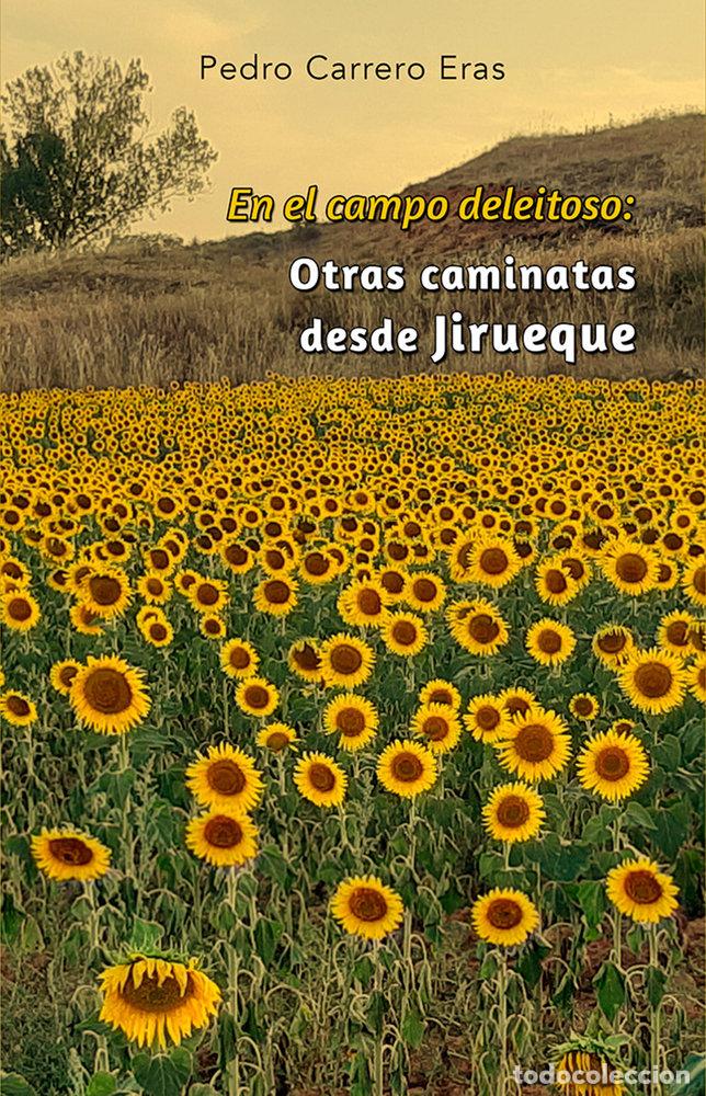 Libros: EN EL CAMPO DELEITOSO - CARRERO ERAS, PEDRO