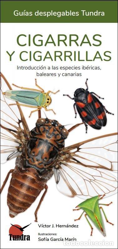Libros: CIGARRAS Y CIGARRILLAS - AA.VV