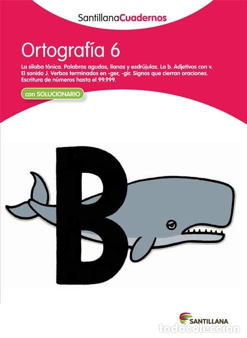 Libros: ORTOGRAFIA 6 EP 12 - AA.VV