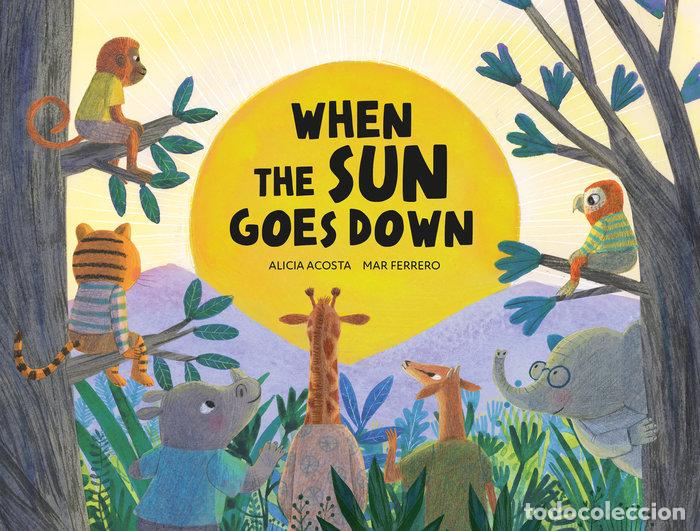 Libros: WHEN THE SUN GOES DOWN - ACOSTA