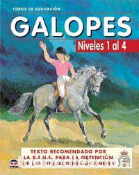 Livros: GALOPES NIVELES 1 AL 4 CURSO EQUITACION - AA.VV