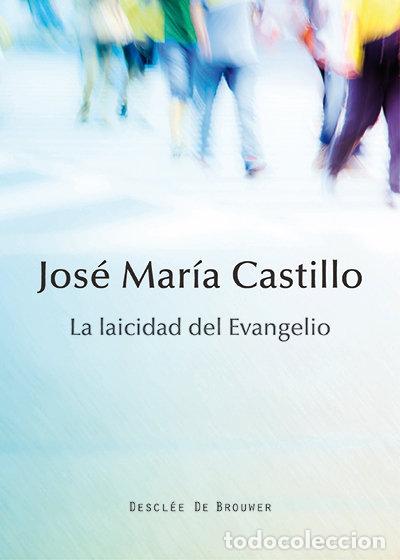 Libros: LAICIDAD DEL EVANGELIO - CASTILLO SANCHEZ, JOSE MARIA