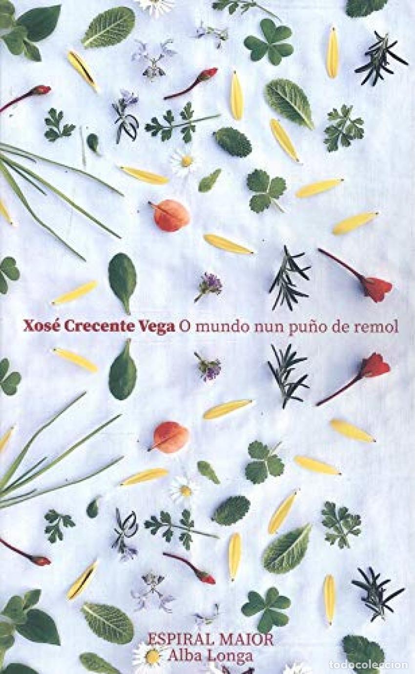 Libros: O MUNDO NUN PU&Ntilde;O DE REMOL - XOSE CRECENTE VEGA