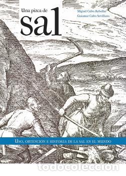 books: UNA PIZCA DE SAL. - Miguel Calvo Rebollar