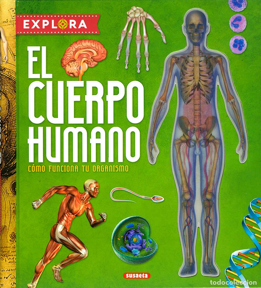 books: EL CUERPO HUMANO - Montoro, Jorge