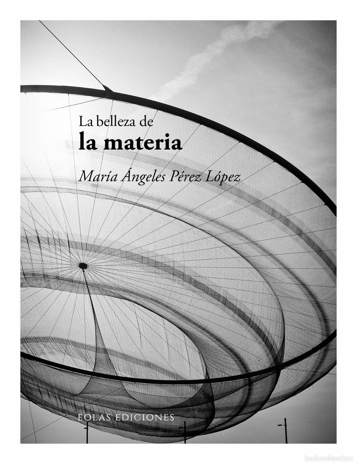 Libros: LA BELLEZA DE LA MATERIA - P&eacute;rez L&oacute;pez, Mar&iacute;a &Aacute;ngeles
