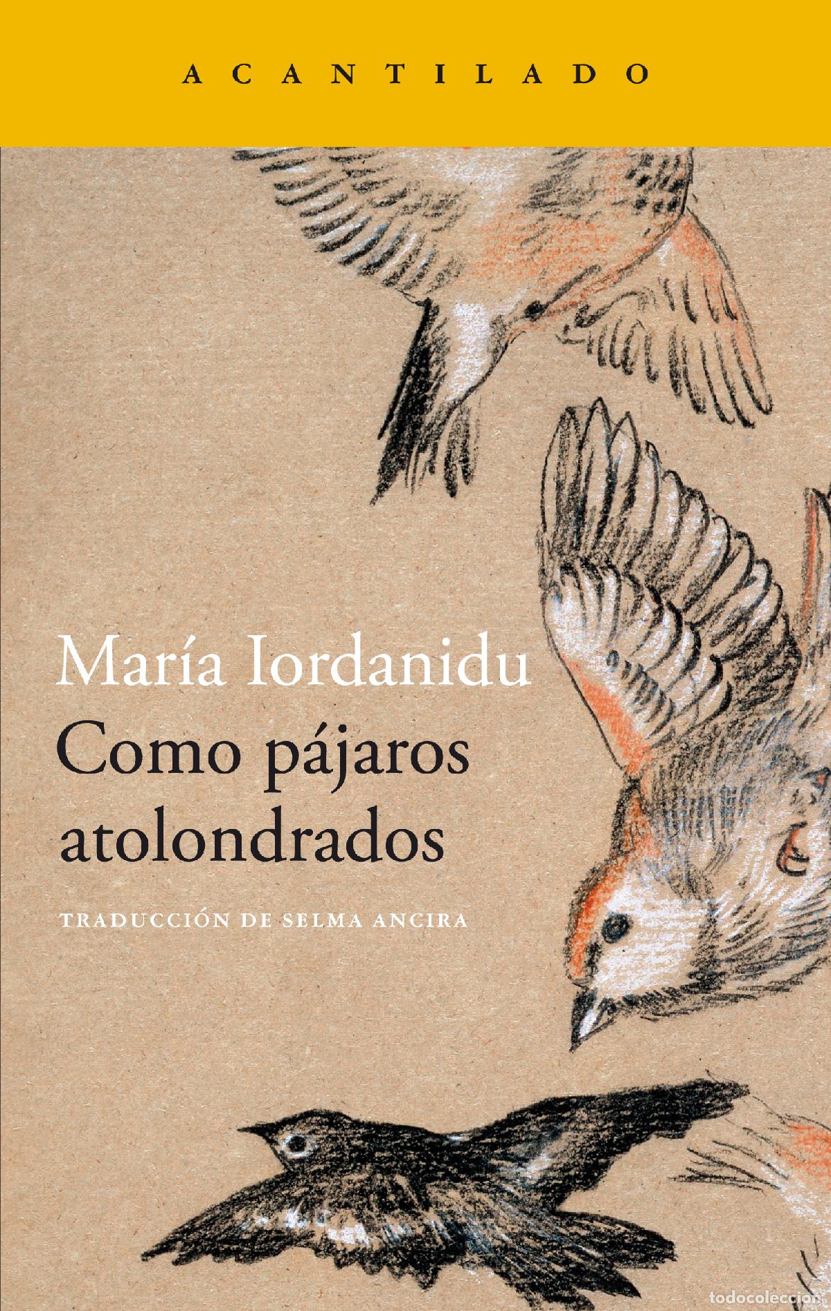 Livros: COMO P&Aacute;JAROS ATOLONDRADOS - Iordanidu, Maria
