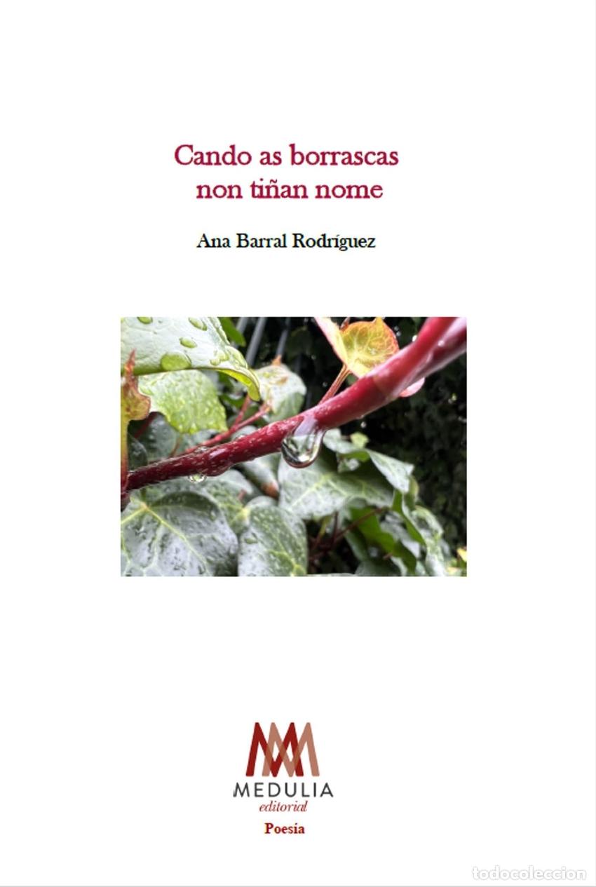 books: CANDO AS BORRASCAS NON TI&Ntilde;AN NOME - Barral, Ana