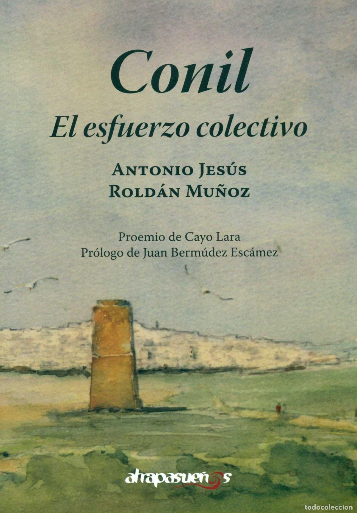 Libri: CONIL, EL ESFUERZO COLECTIVO - Antonio Rold&aacute;n