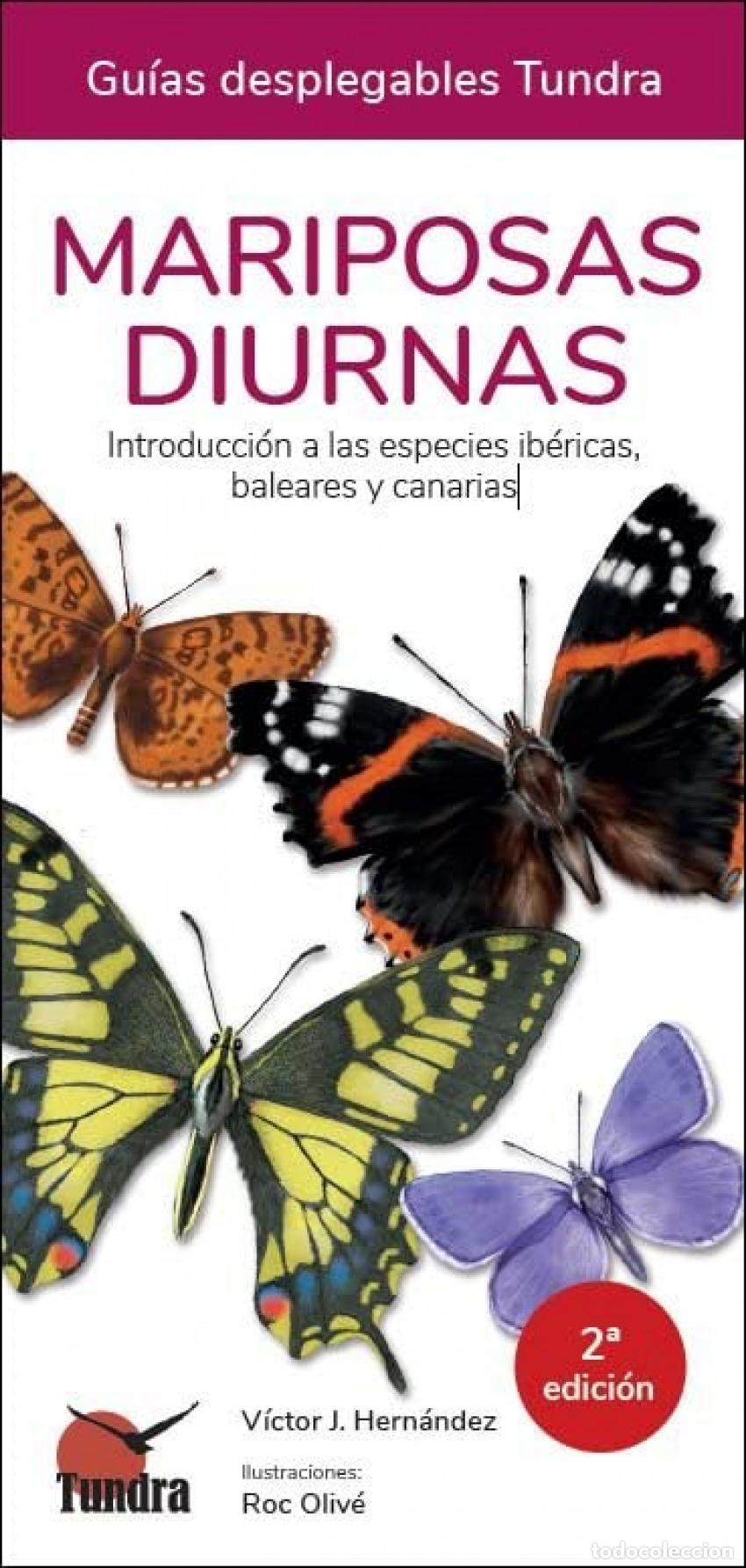 books: MARIPOSAS DIURNAS - GUIAS DESPLEGABLES TUNDRA - HERNANDEZ, VICTOR J