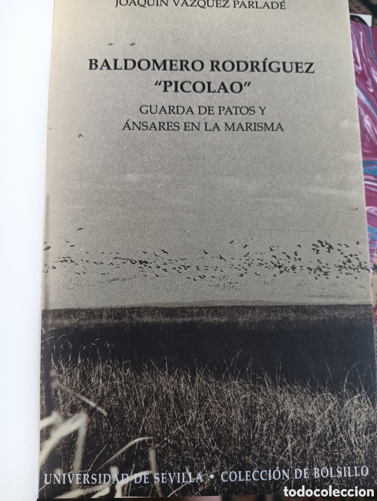 Libros: Baldomero Rodr&iacute;guez picolao guarda de patos y ansares en la marisma