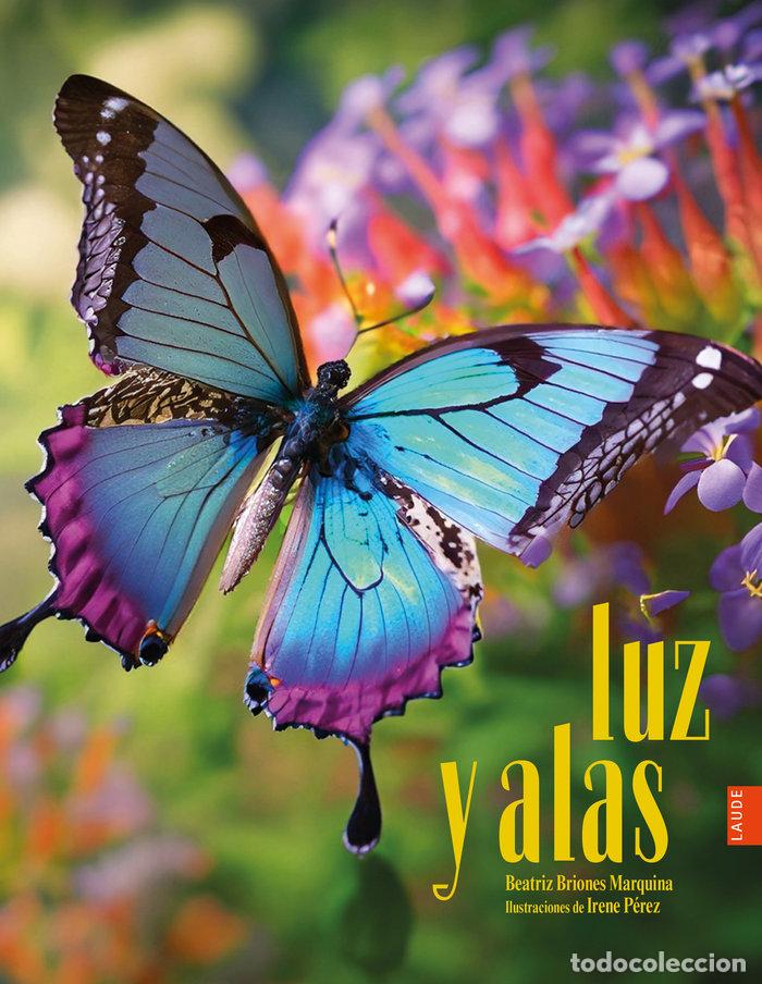B&uuml;cher: LUZ Y ALAS - BRIONES MARQUINA, BEATRIZ