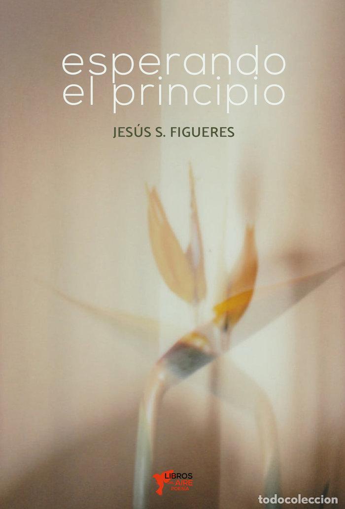 Libros: ESPERANDO EL PRINCIPIO - FIGUERES, JESUS S