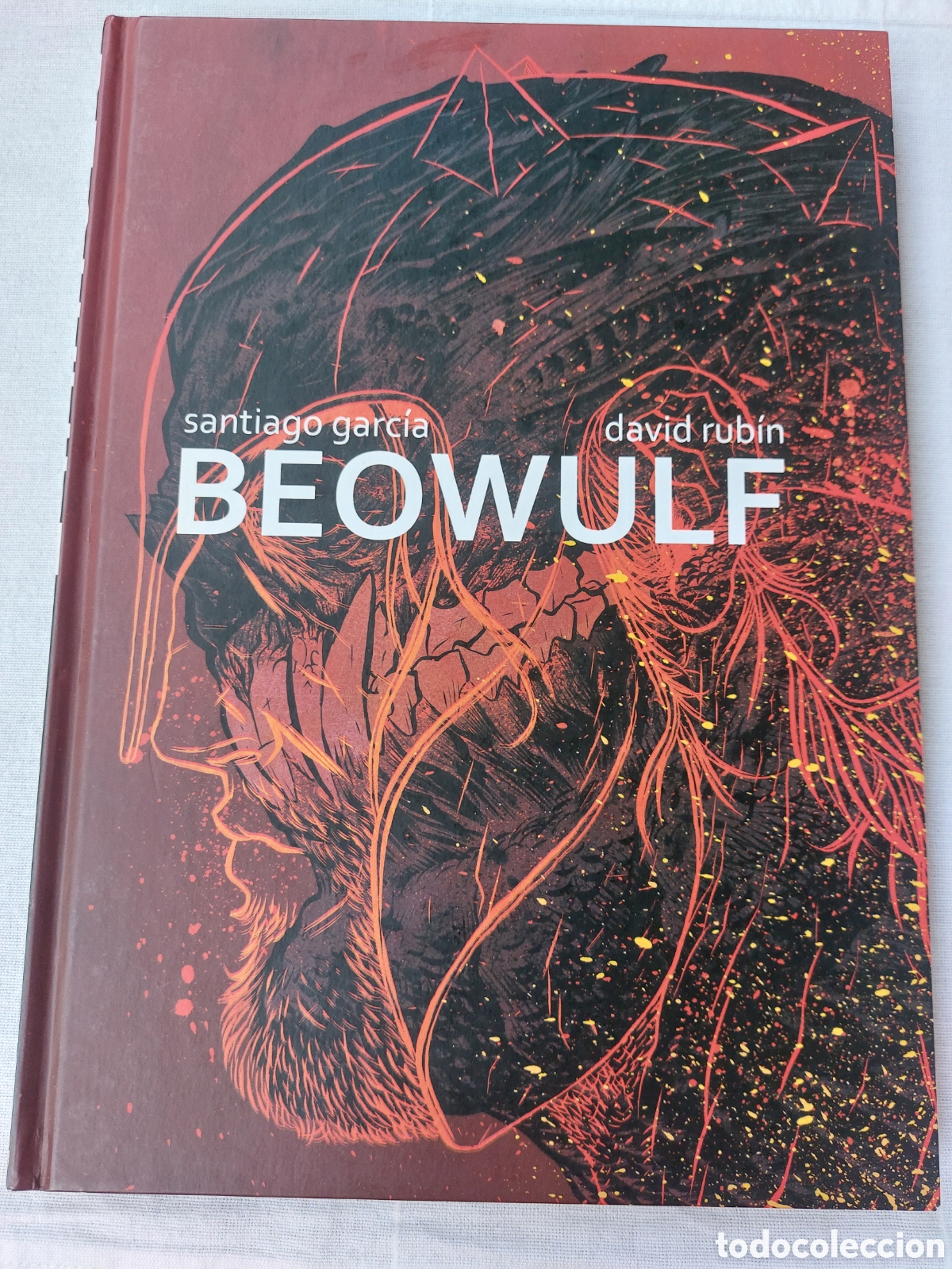 Libros: Beowulf. Novela gr&aacute;fica