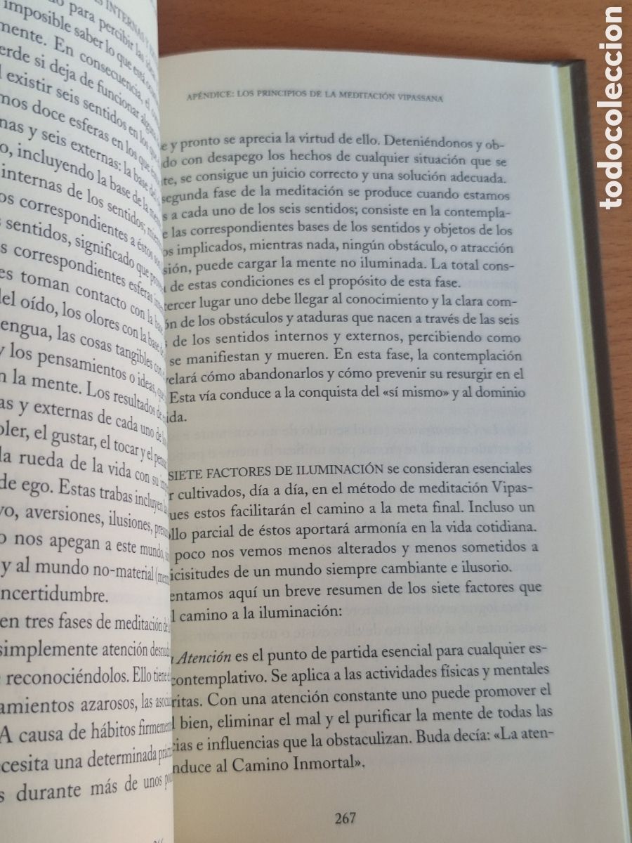 Libros: La v&iacute;a del no apego. La pr&aacute;ctica de la visi&oacute;n profunda - Foto 4