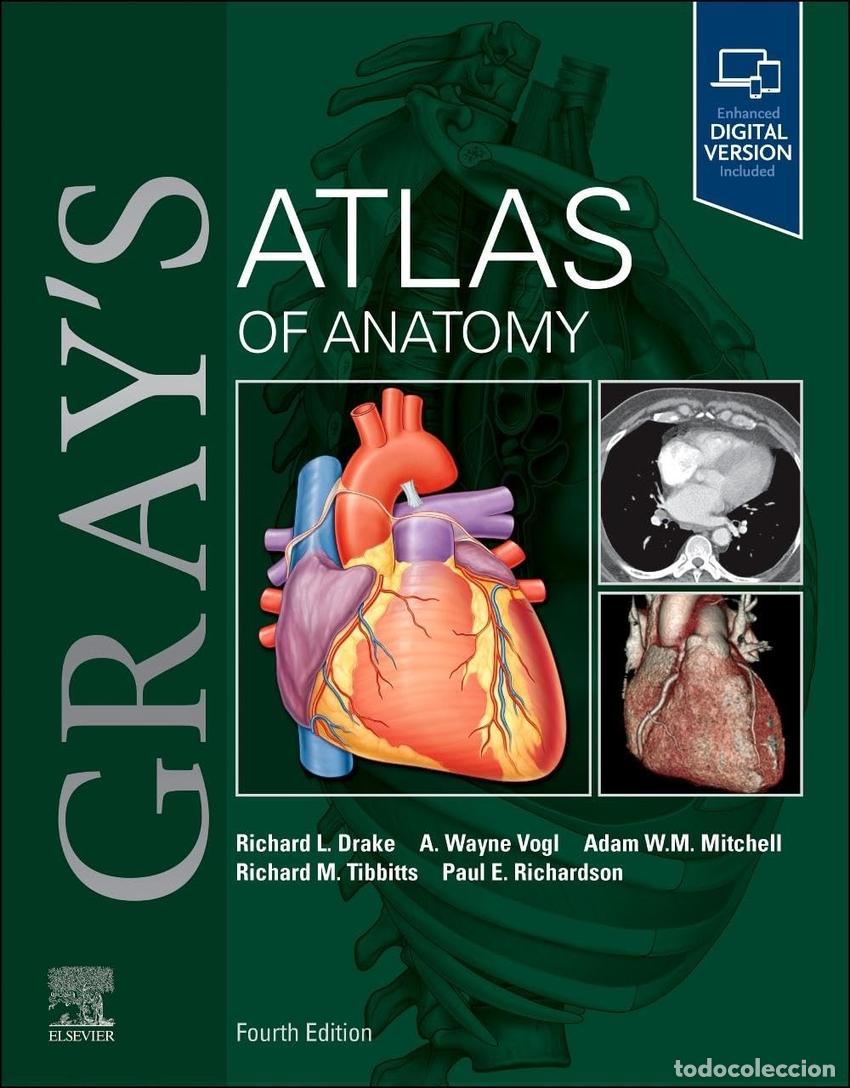 B&uuml;cher: GRAY&acute;S ATLAS OF ANATOMY - Drake, Richard
