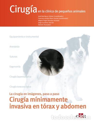 Livros: CIRUG&Iacute;A EN LA CL&Iacute;NICA DE PEQUE&Ntilde;OS ANIMALES. CIRUG&Iacute;A M&Iacute;NIMAMENTE INVASIVA - S&aacute;nchez Hurtado, Miguel &Aacute;