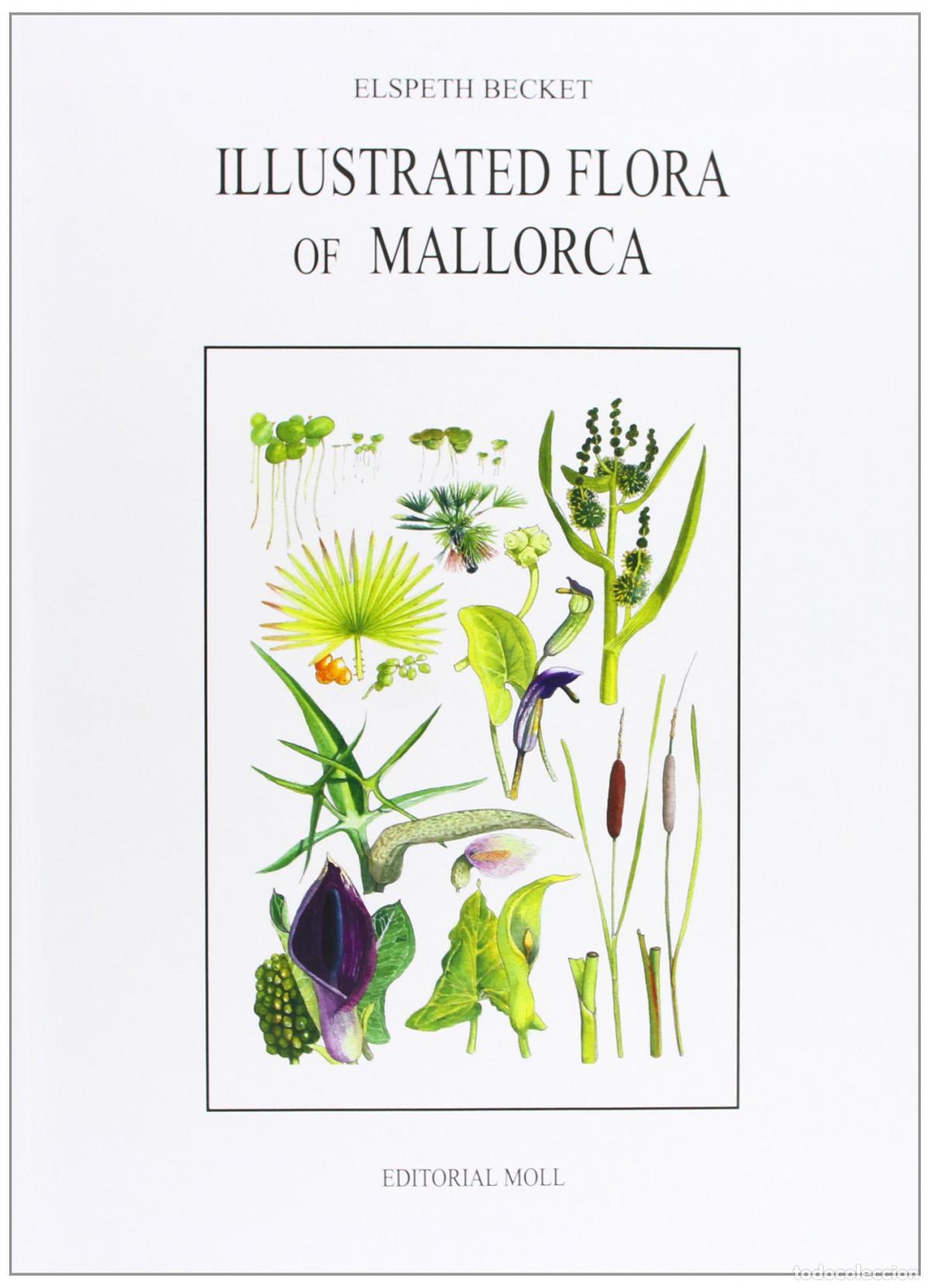 Libros: ILLUSTRATED FLORA OF MCA.RUSTICA - Becket, Elspeth
